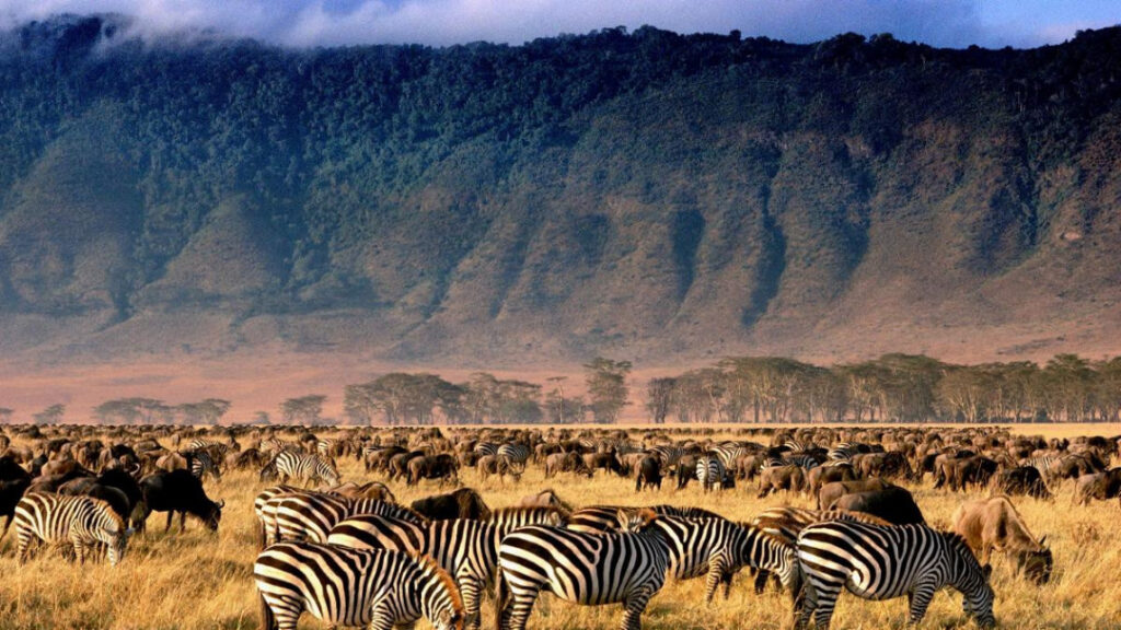 The Ngorongoro Crater, where you can find the beauty of nature